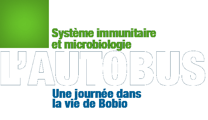 Système immunitaire et microbiologie | L'autobus | Une journée dans la vie de Bobio